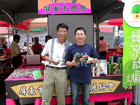 台灣牛蒡原鄉 屏東歸來大力蔘
