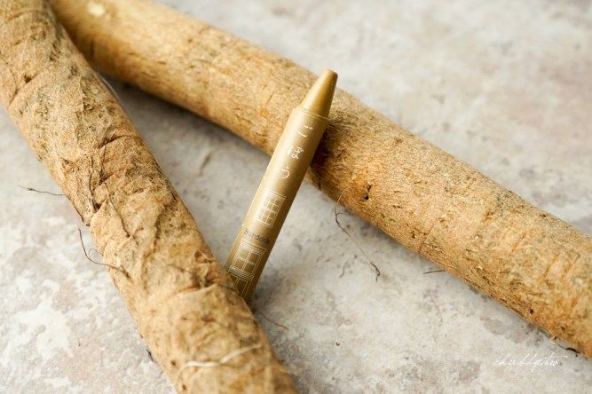 日本一位媽媽[木村尚子]將報廢農作物回收再利用，製成「野菜蠟筆」