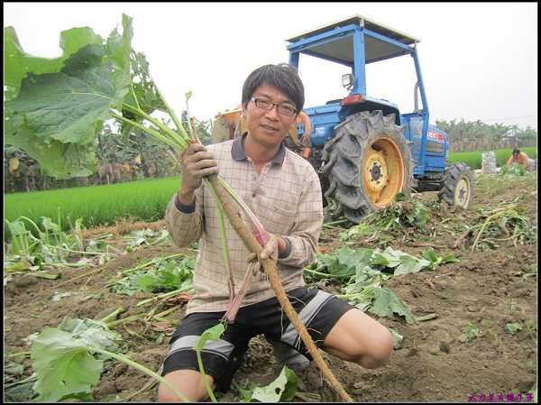 屏東縣政府 新聞稿 發稿單位：農業處