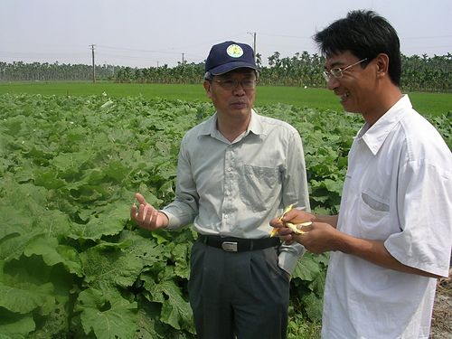 放棄穩定高薪，「歸來」遊子投入創新農產業